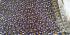 KALAMKARI PRINTED COTTON SAREE